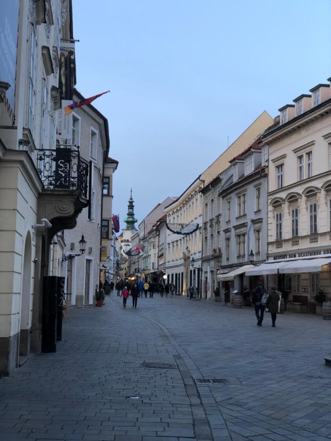 Pleasant Apartment Under The Bratislava Castle Екстериор снимка